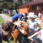 phoca_thumb_m_ponk 38 Fotogalerie